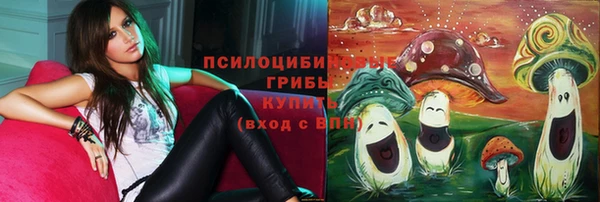 ГАЛЛЮЦИНОГЕННЫЕ ГРИБЫ Армянск